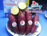 SWEET POTATOES FROM VIETNAM COMPETITIVE PRICE